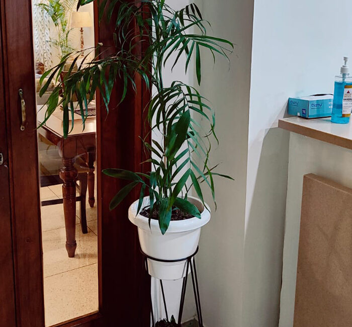 19 - CIMBS Photos - Misc (1)